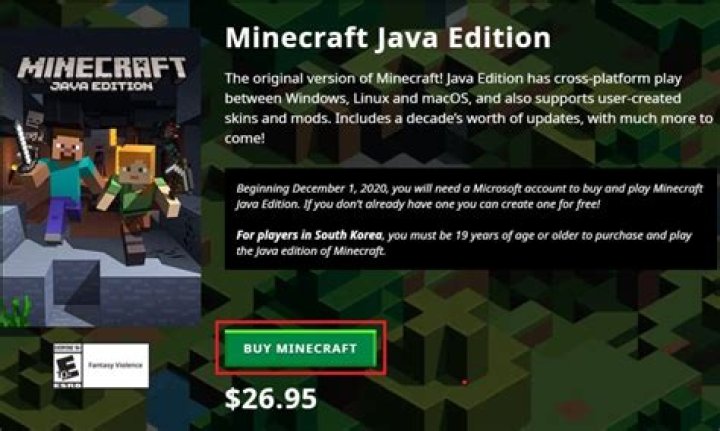 How much is a minecraft account