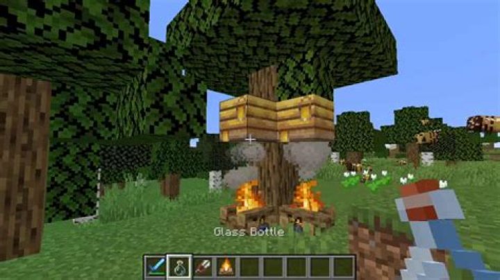 How to collect honey minecraft