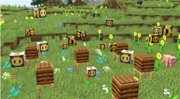 What do beehives do in minecraft