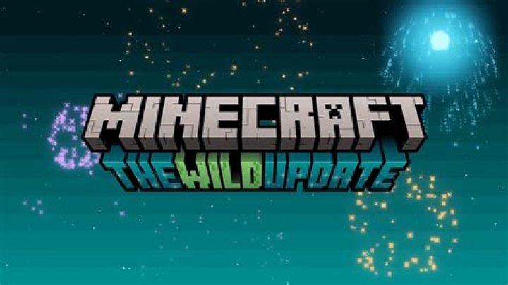 When does minecraft 1.19 come out